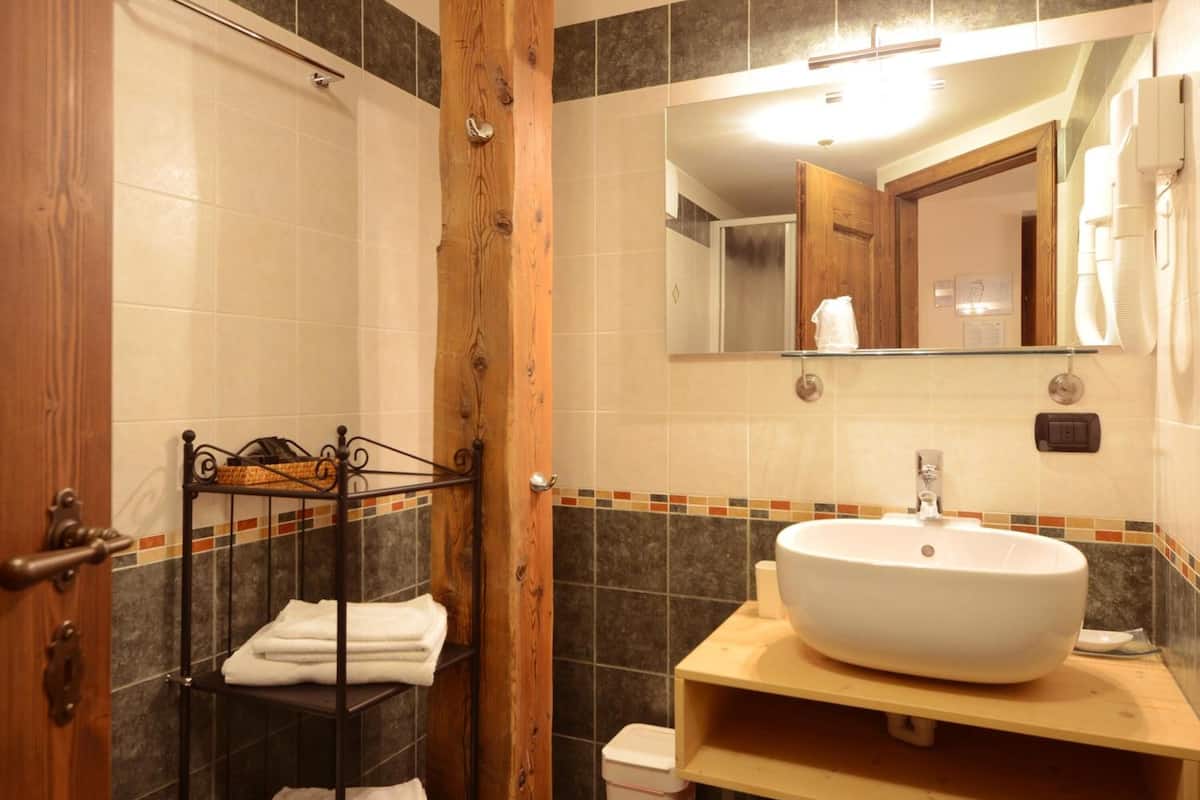 shower, free toiletries, hair dryer, bidet