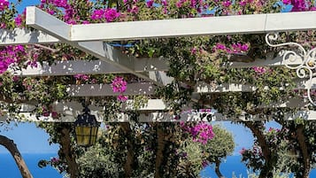 Blick auf den Garten