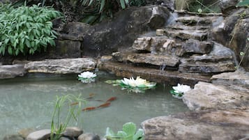 Jardín