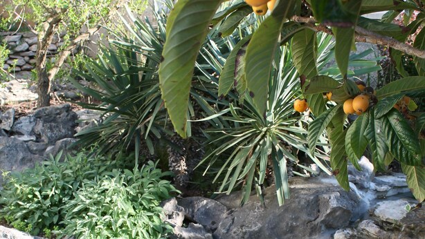 A small pond with clear water, surrounded by rocks and plants. - Villa Mandolina Apartments (Zadar)