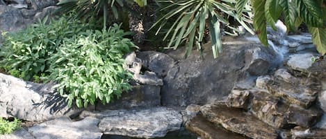 Enceinte de l’hébergement