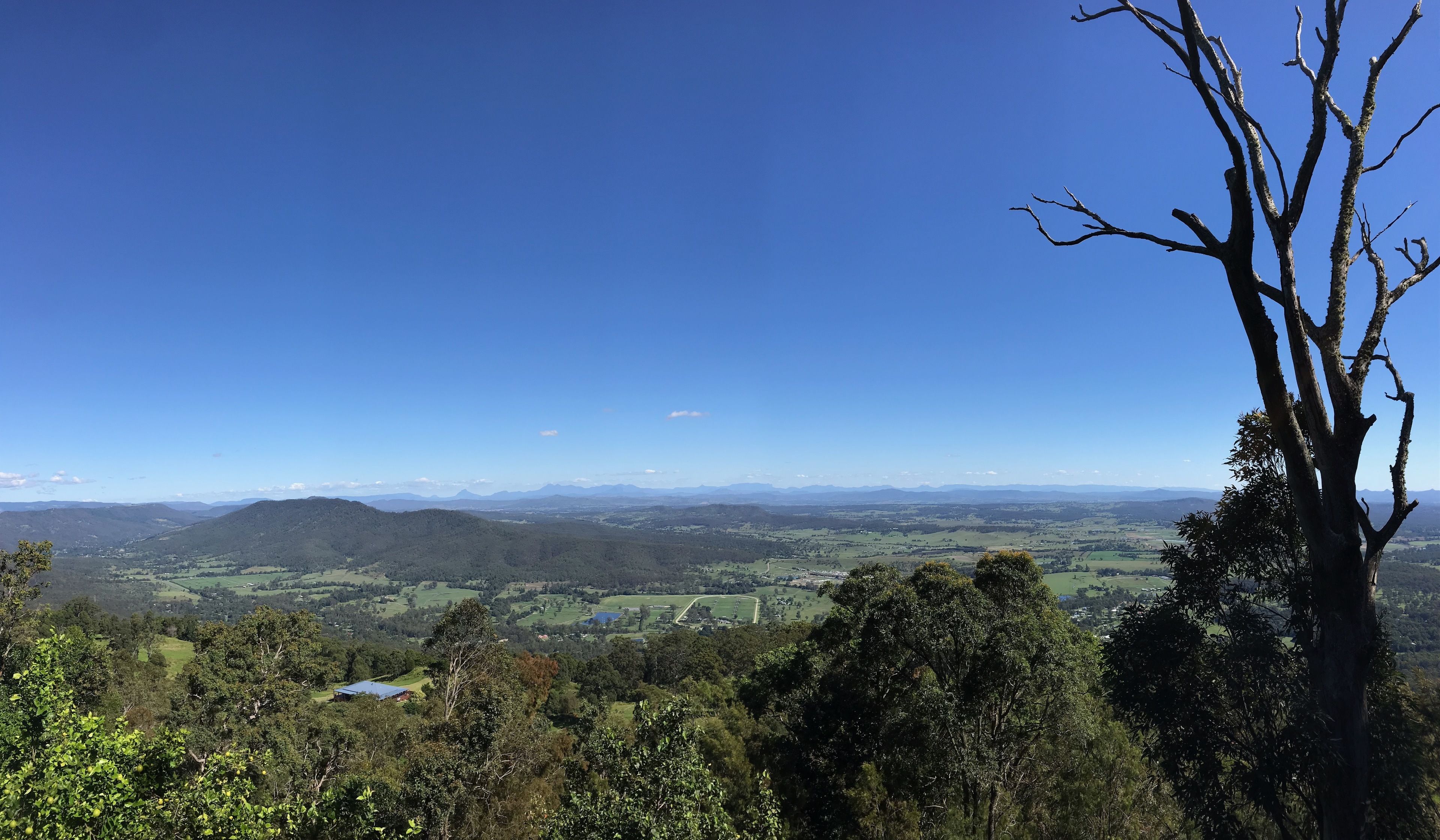 Une vue panoramique d’une vallée, avec un ciel dégagé, un arbre imposant au premier plan et des montagnes lointaines.