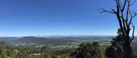Une vue panoramique d’une vallée, avec un ciel dégagé, un arbre imposant au premier plan et des montagnes lointaines.