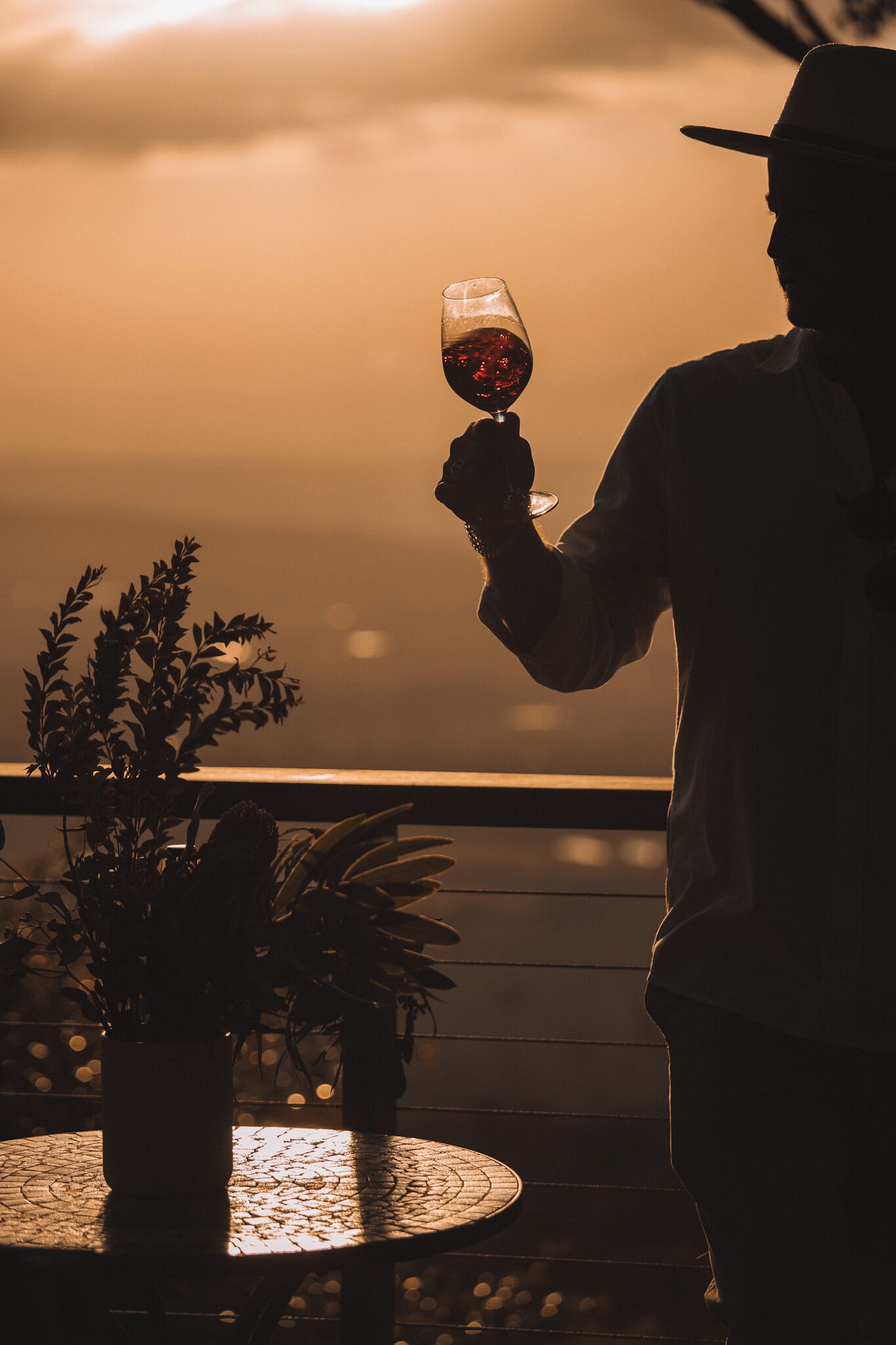 A person holding a wine glass on a balcony with potted plants and a view of the sky.