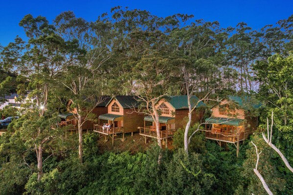Un área boscosa con cabañas de madera elevadas sobre pilares, rodeada de árboles densos.