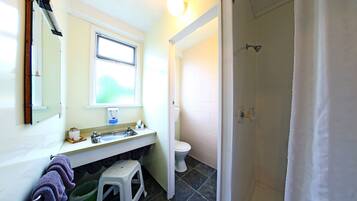 Un baño con lavabo, inodoro y ducha.
