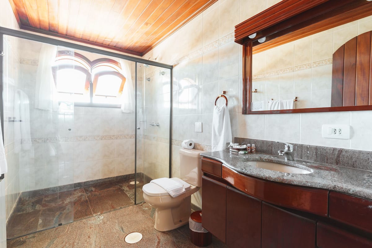 shower, free toiletries, hair dryer, towels