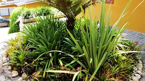 Een tuin met verschillende planten en een geel gebouw op de achtergrond.