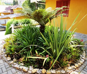 Garden - Pousada Toca das Bromelias (Campos do Jordão)