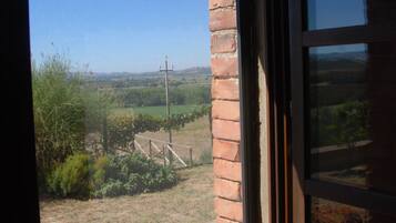 Vista desde la habitación