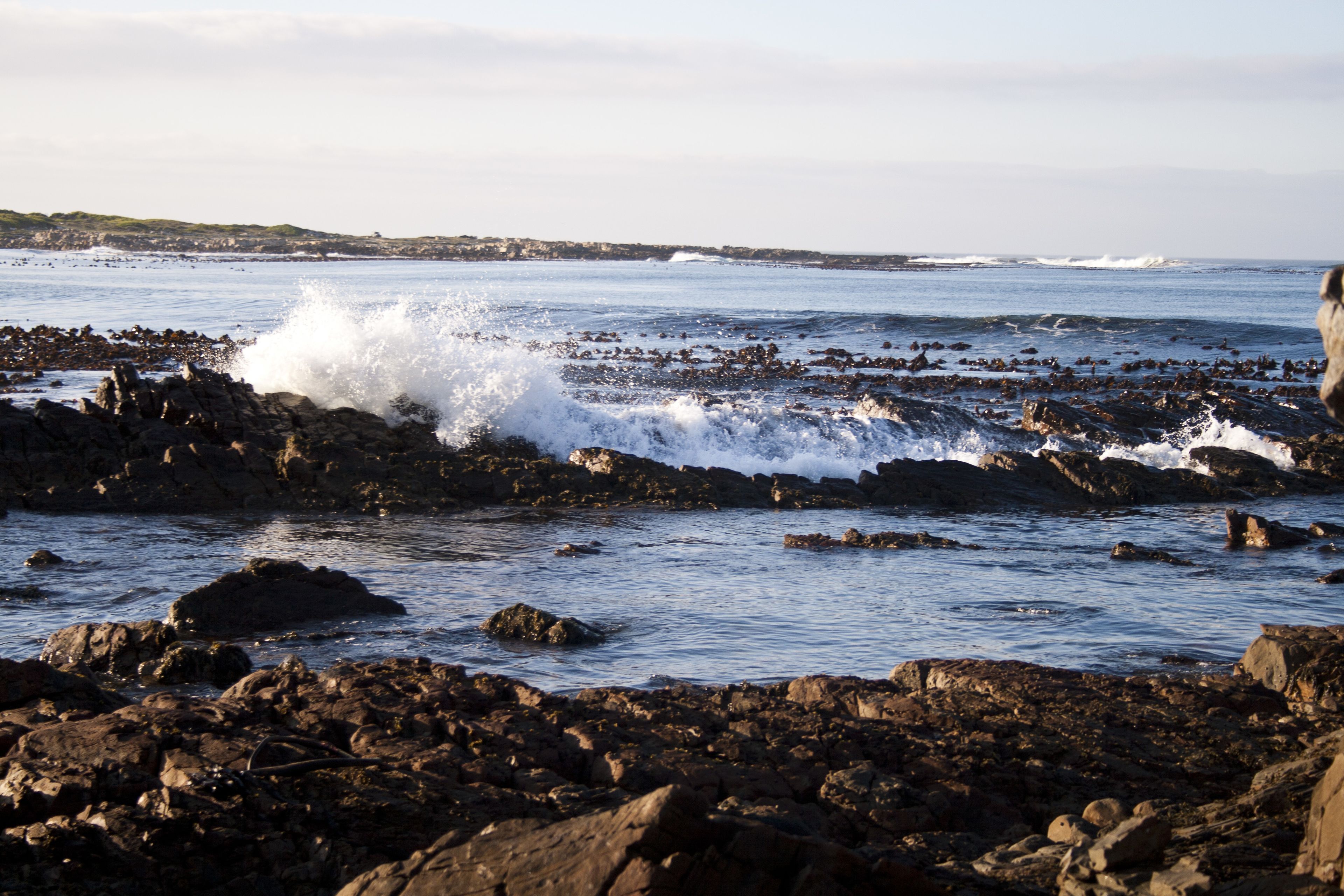 Una costa rocosa con olas rompiendo contra las rocas.