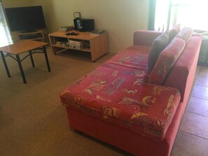 Un salon avec un canapé, un téléviseur, une petite table et une bibliothèque.