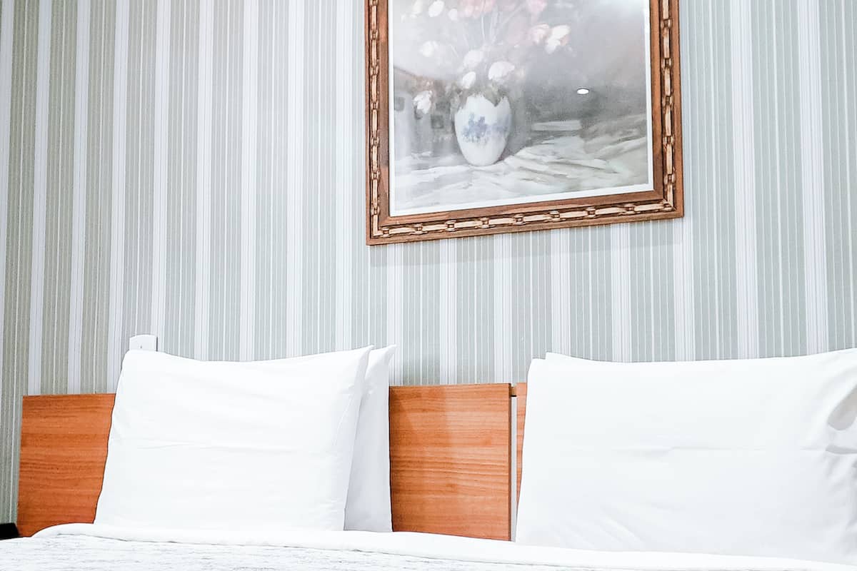 Hypo-allergenic bedding, down duvets, Select Comfort beds, minibar
