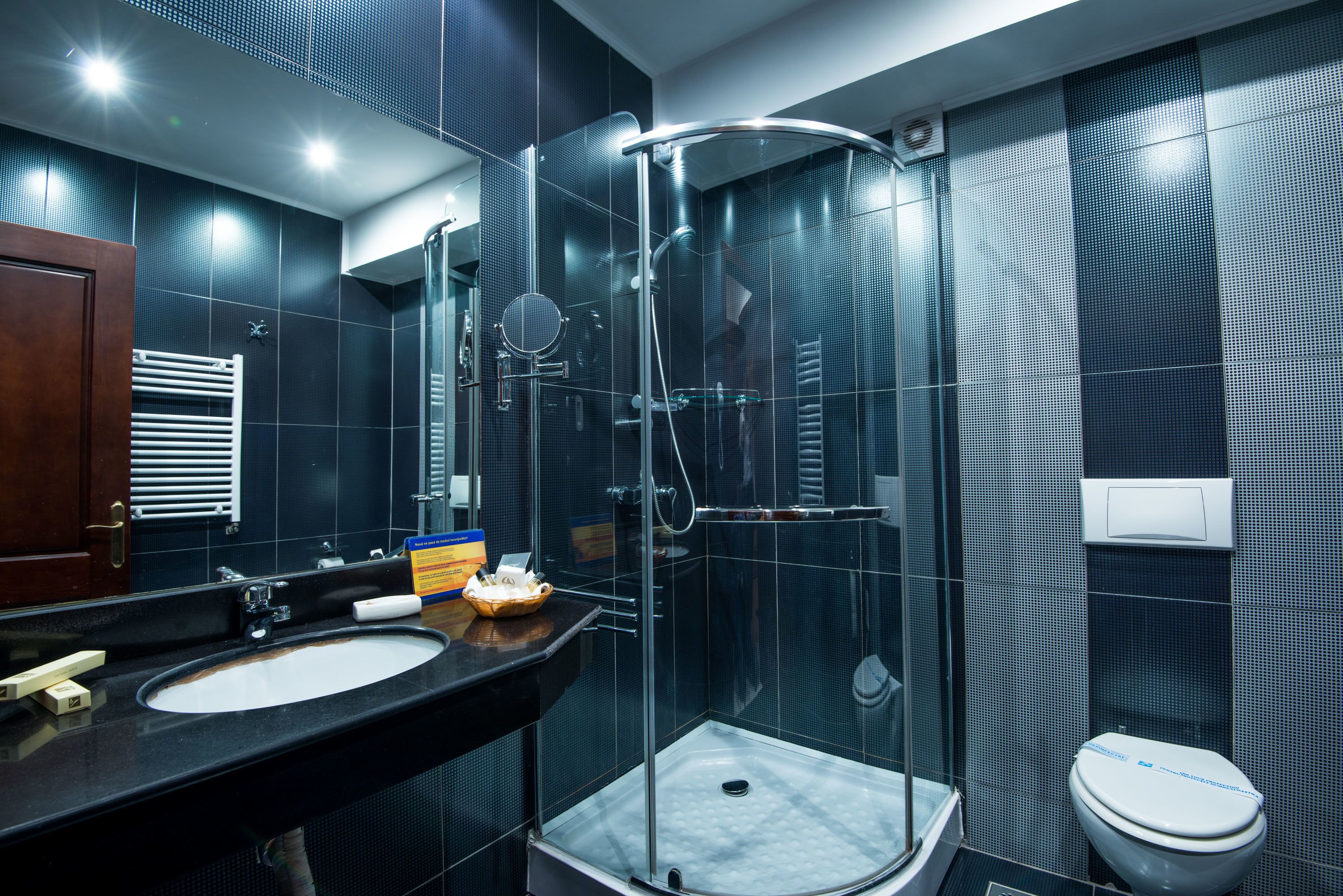 Un baño moderno con ducha envuelta en vidrio, un lavabo con espejo y un inodoro.