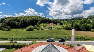 Ein Wohngebiet mit einem Haus, einer Straße und einem Feld.