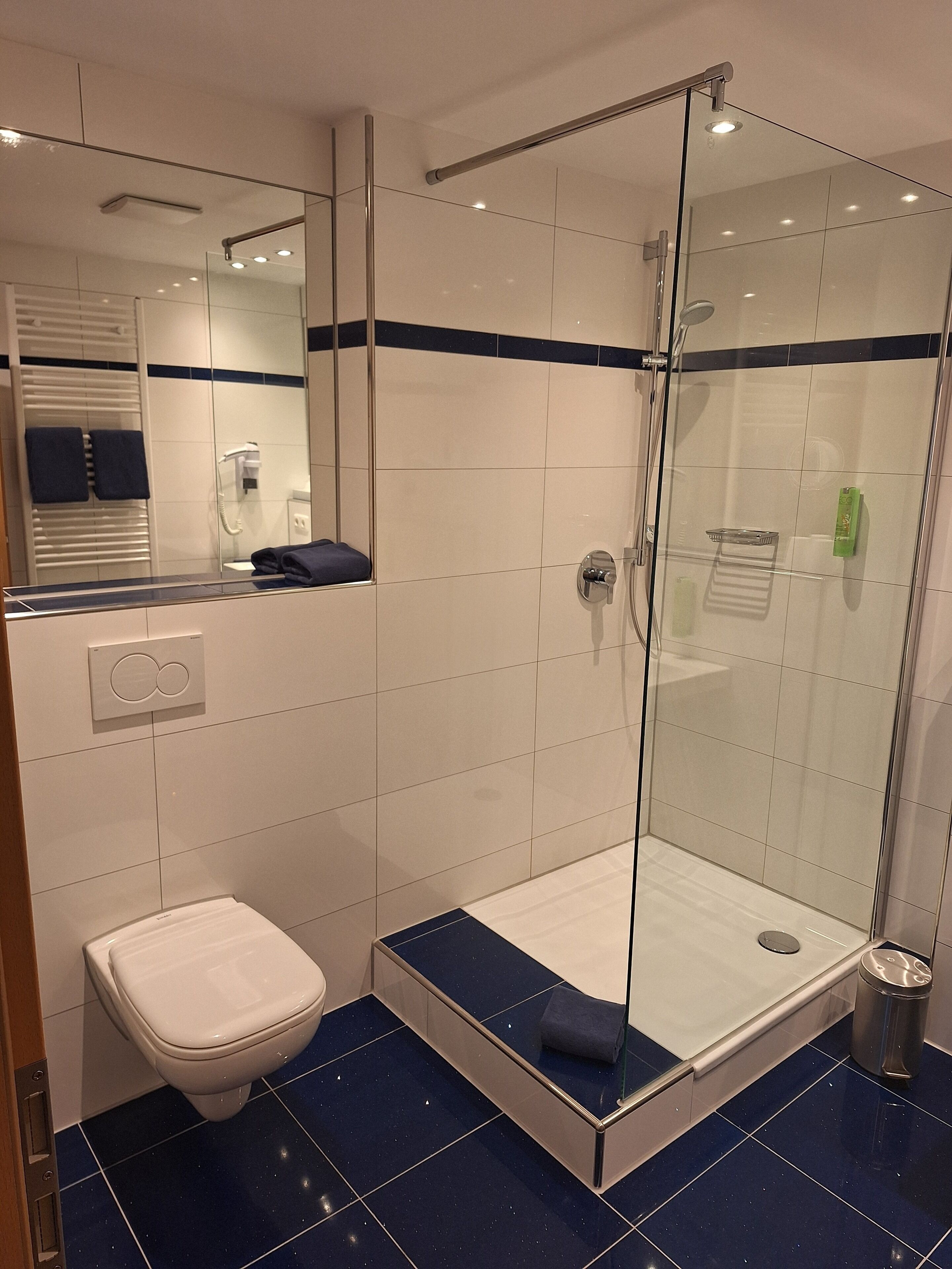 exclusive double room, non smoking | bathroom | shower, eco-friendly toiletries, hair dryer, towels