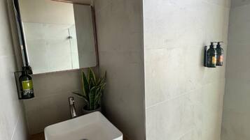 A bathroom with a white sink, a mirror, a potted plant, and toiletries on the wall.