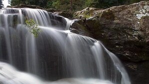 A waterfall cascading over rocks in a forested area. - The Luib Hotel (Crianlarich)