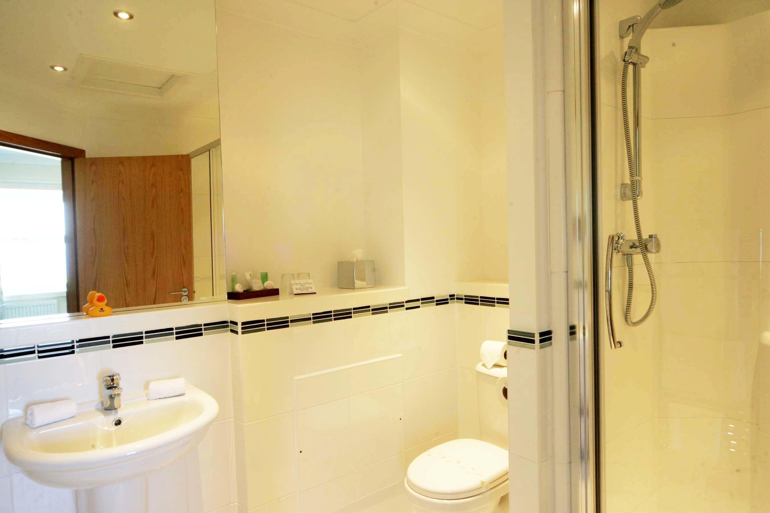 Une salle de bain avec un lavabo, des toilettes et une douche.