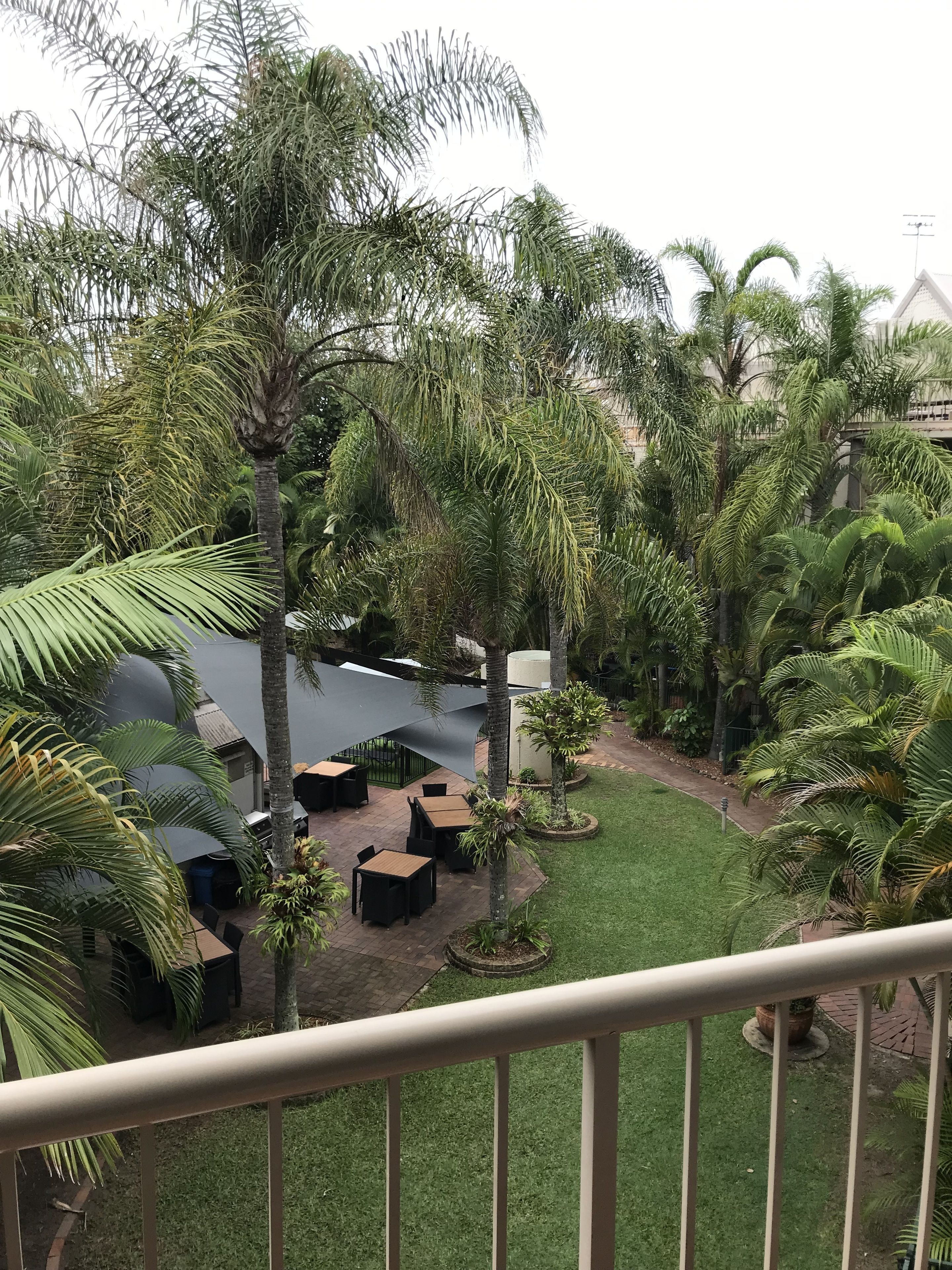A courtyard with palm trees, a pool, and outdoor seating.