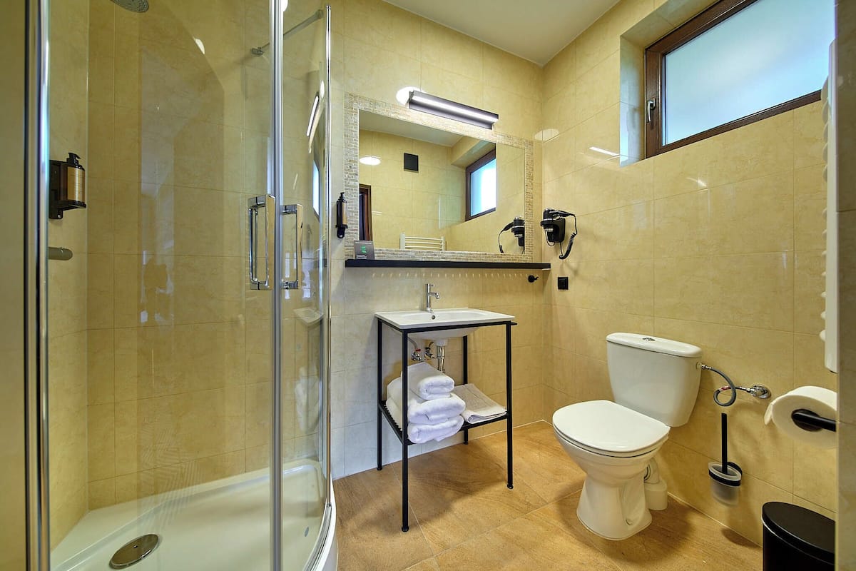 A bathroom with a glass-enclosed shower, a sink with a mirror, a toilet, and a window.