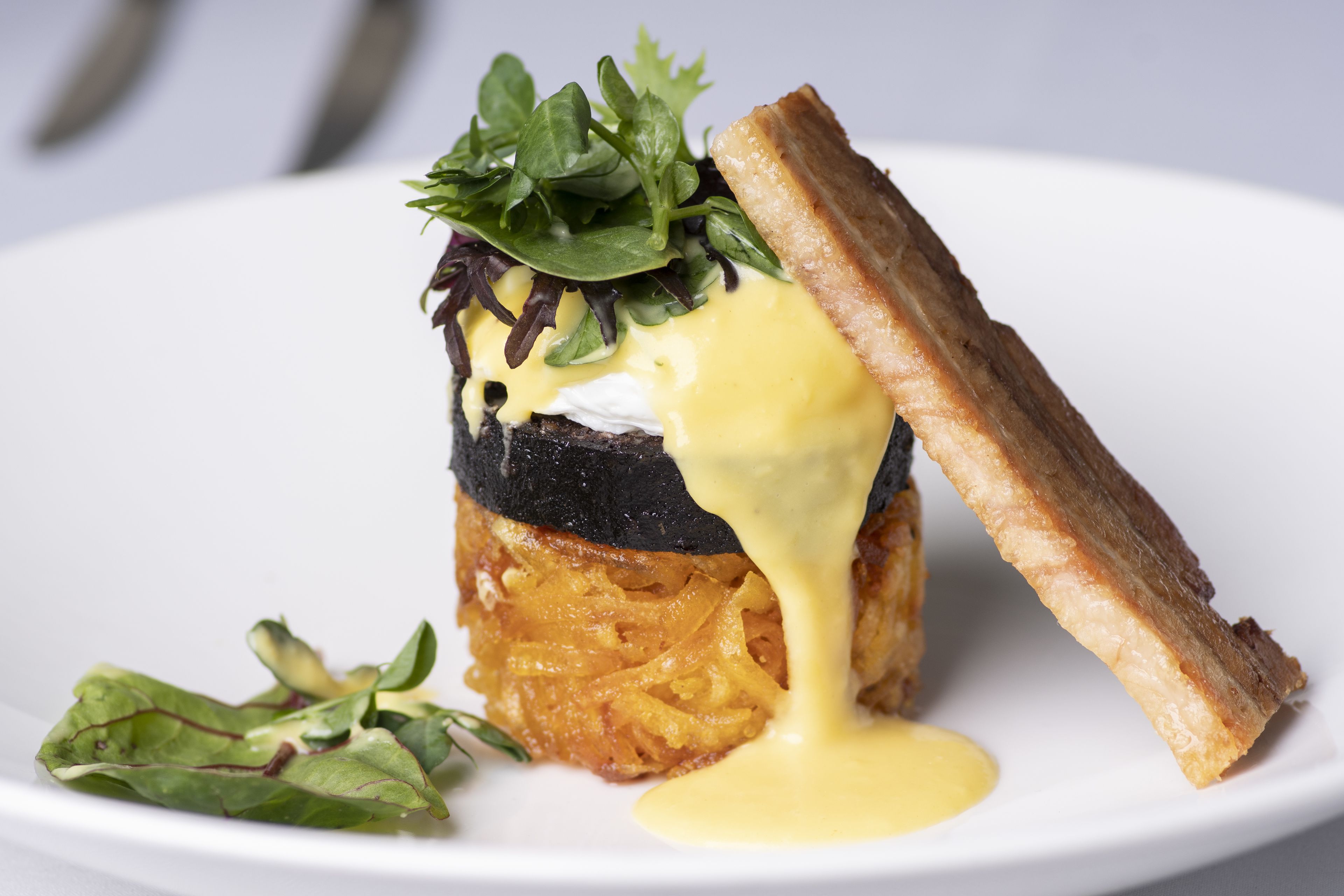 A dish with a slice of toast, a poached egg, and greens on a white plate.