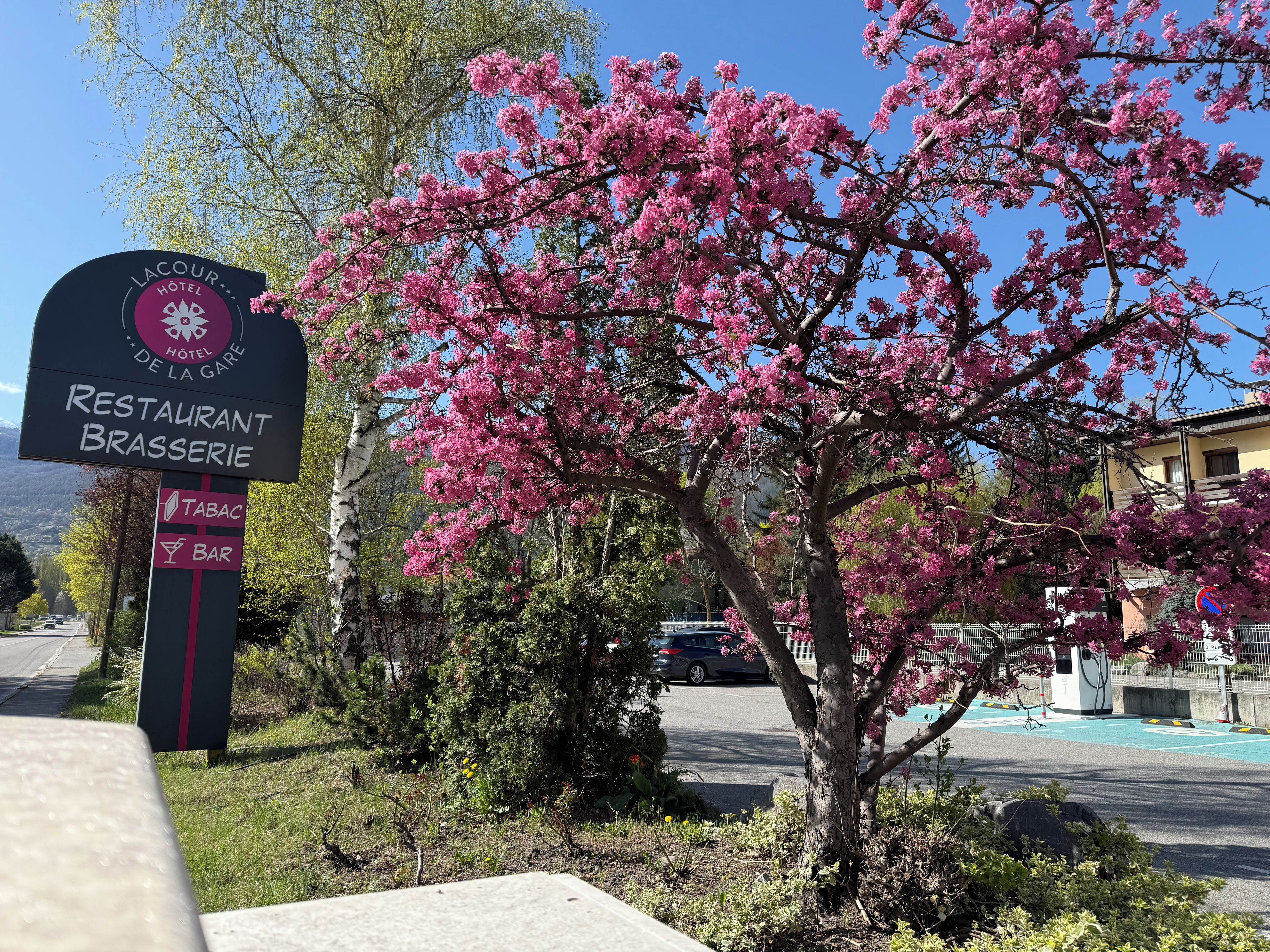 A sign for Lacour Hotel De La Gare Restaurant Brasserie with a view of a parking area and a tree with pink blossoms.