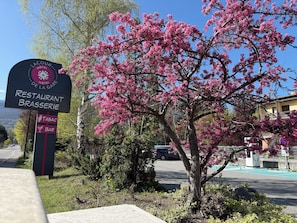 A sign for Lacour Hotel De La Gare Restaurant Brasserie with a view of a parking area and a tree with pink blossoms. - Hotel Lacour (Eygliers)