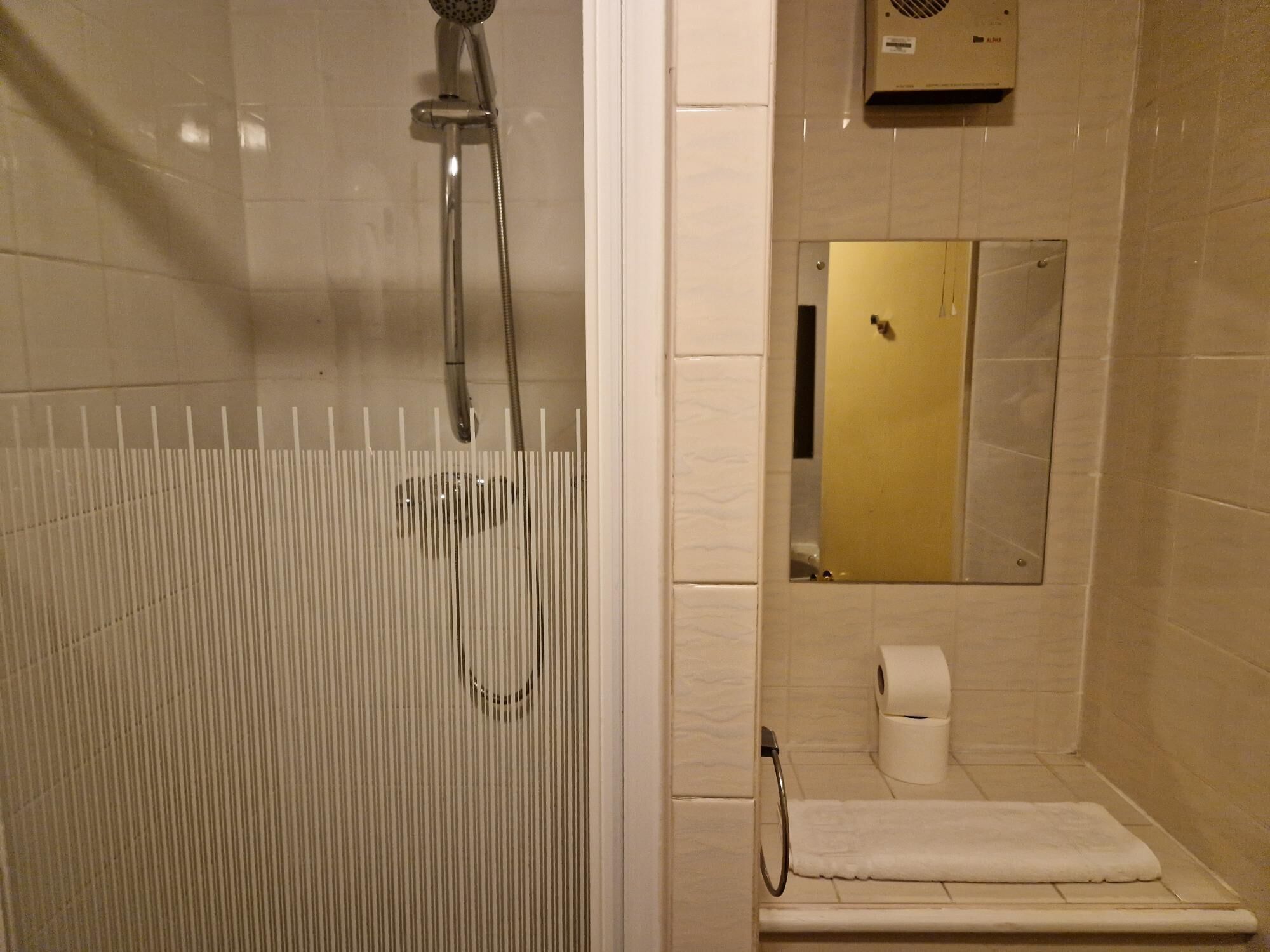 A shower with a glass door, a towel rack, and a toilet with a roll of toilet paper.