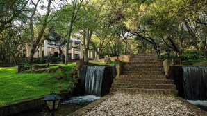 A stone staircase leading to a small waterfall, surrounded by lush greenery and a stone wall. - Valley of the Rainbow Fly Fishing Estate (Dullstroom)