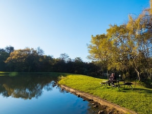 Relax by the serene lake with a picnic table on the grassy bank, surrounded by autumnal trees.