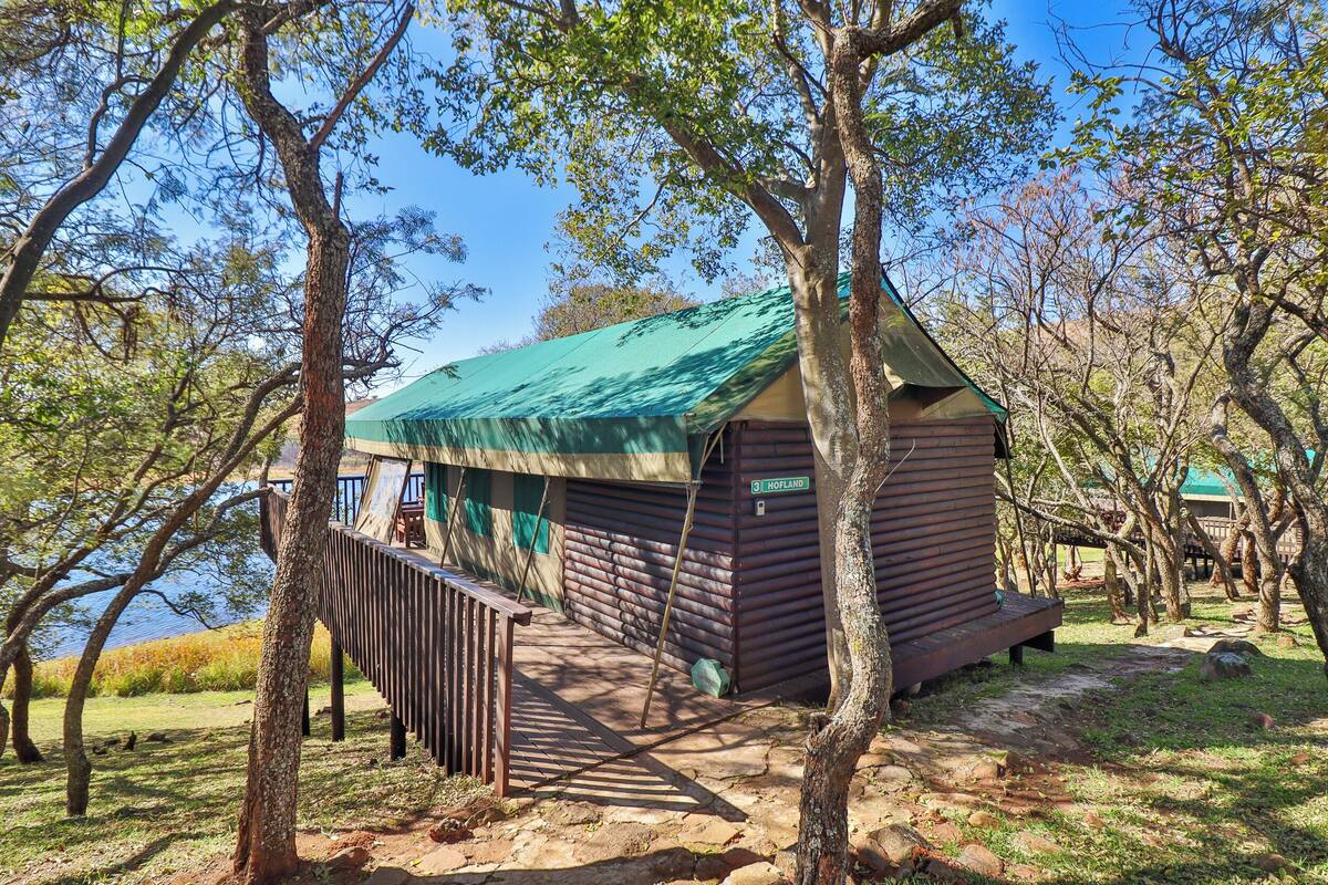 A rustic cabin with a green roof, surrounded by trees and a clear view of the water.