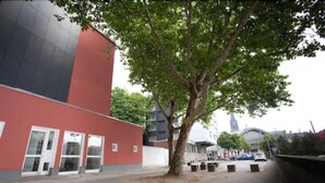 A building with a red facade and a large tree in front. - Pathpoint Cologne Backpacker Hostel (Cologne)