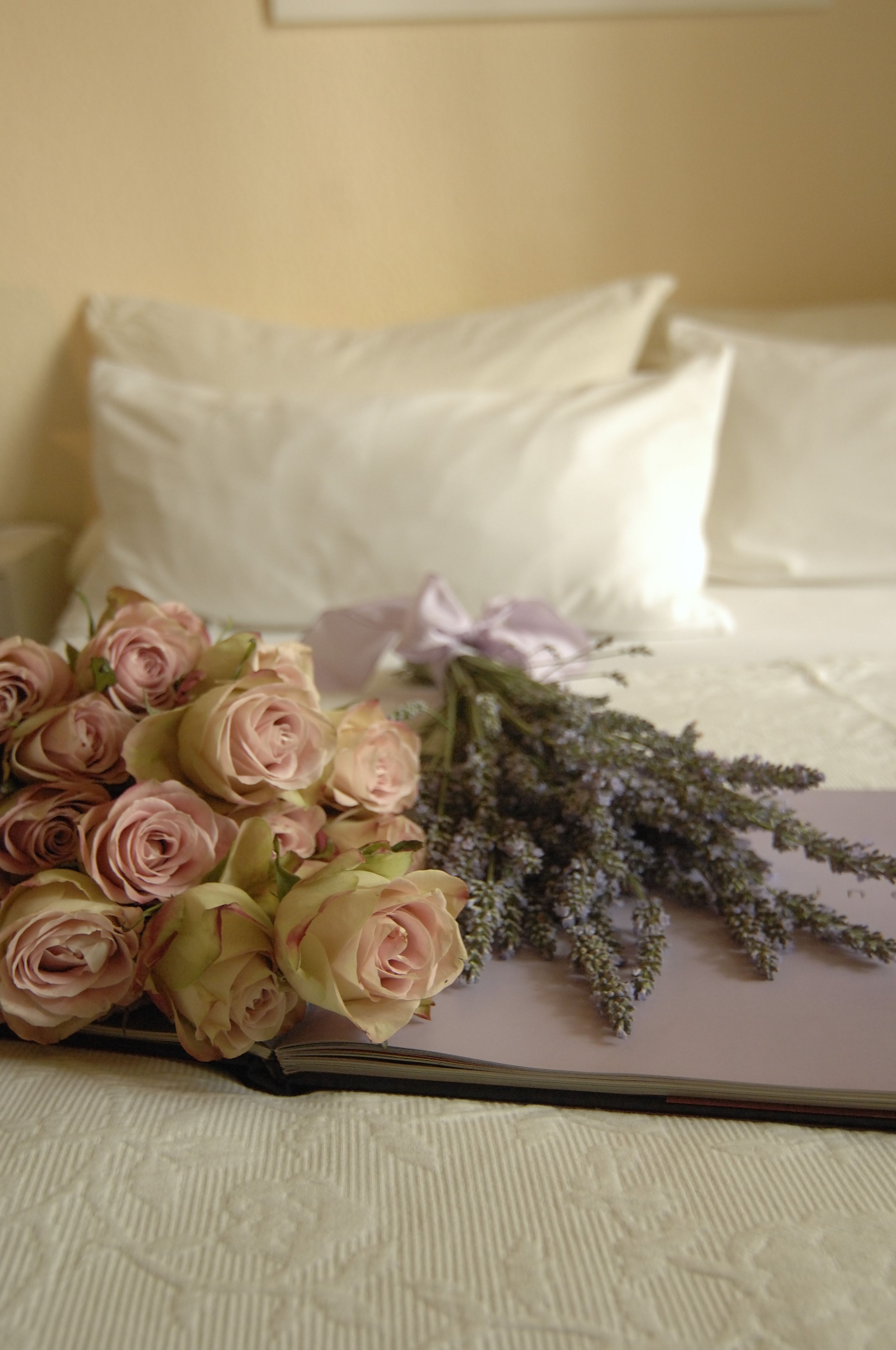 hypo-allergenic bedding, in-room safe, individually decorated