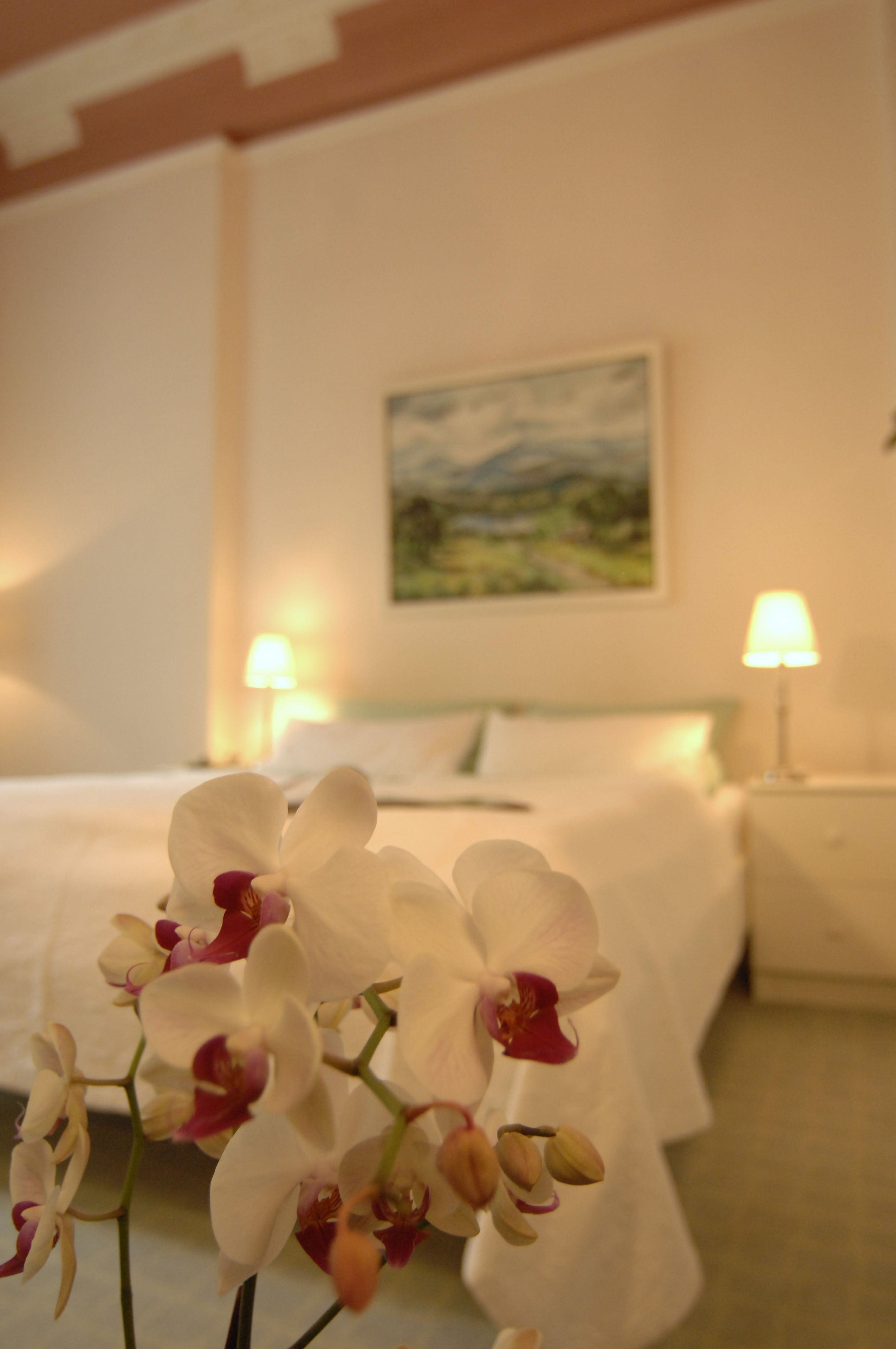 economy room | hypo-allergenic bedding, in-room safe, individually decorated