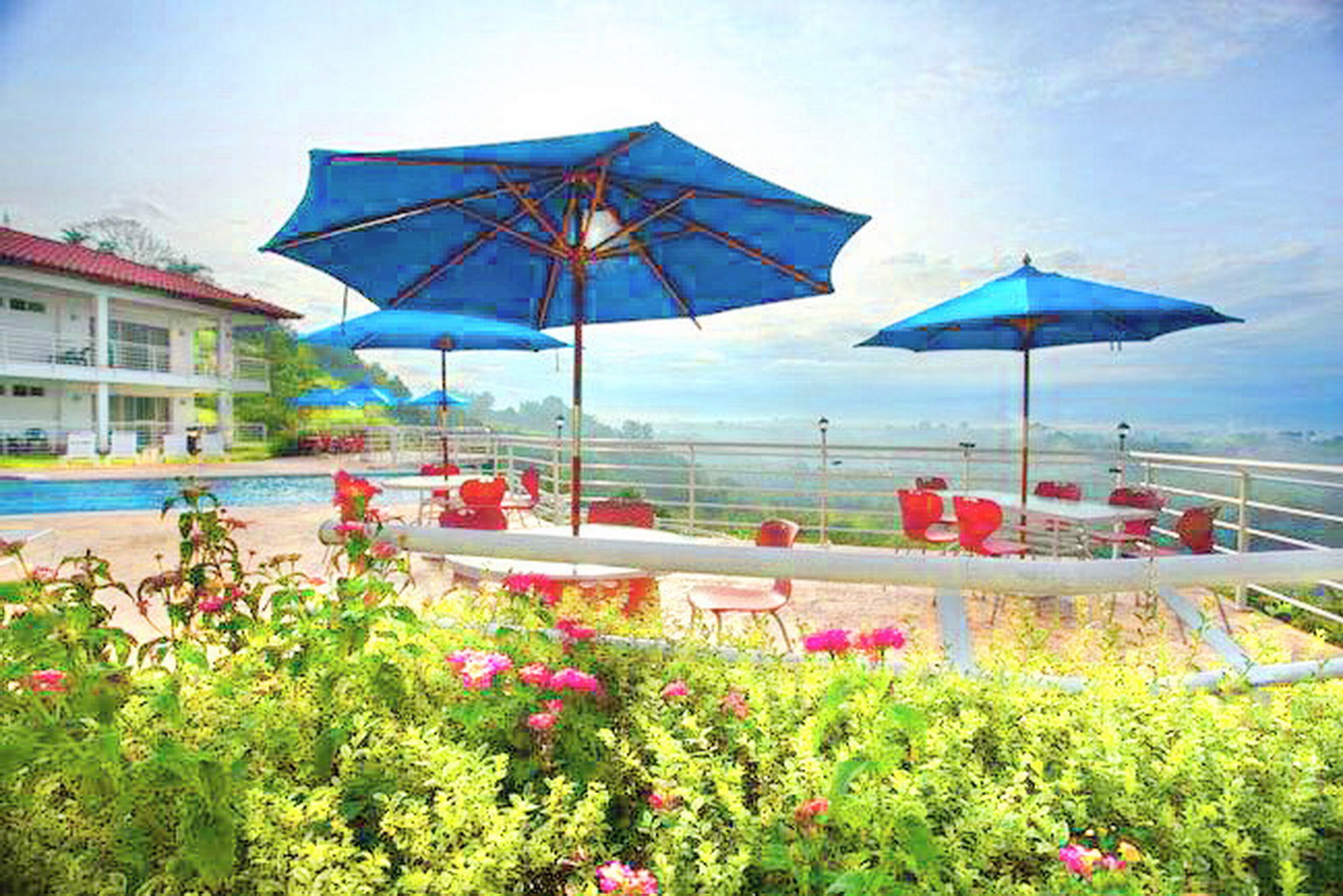 Photo - Hotel Mirador Las Palmas