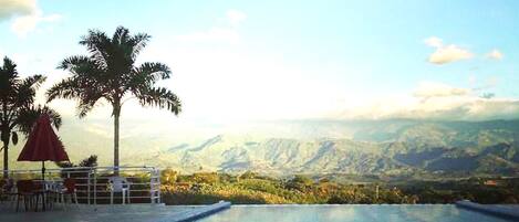 An infinity pool with a view of mountains and palm trees.