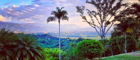 Land view from property
