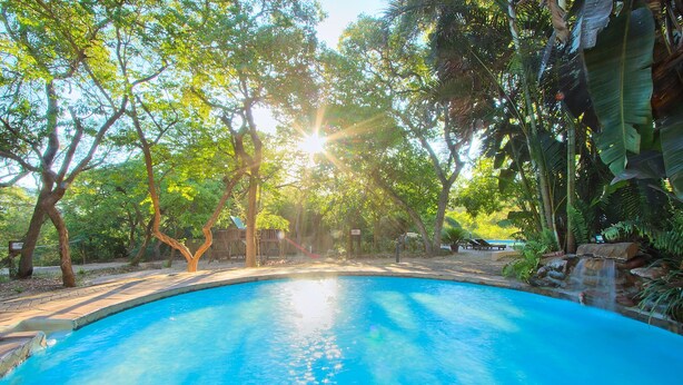 Una piscina azul cristalina rodeada de exuberante vegetación y árboles.