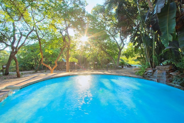 Outdoor pool - Kruger Adventure Lodge (Mbombela)