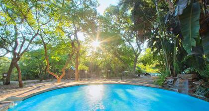 Kruger Adventure Lodge