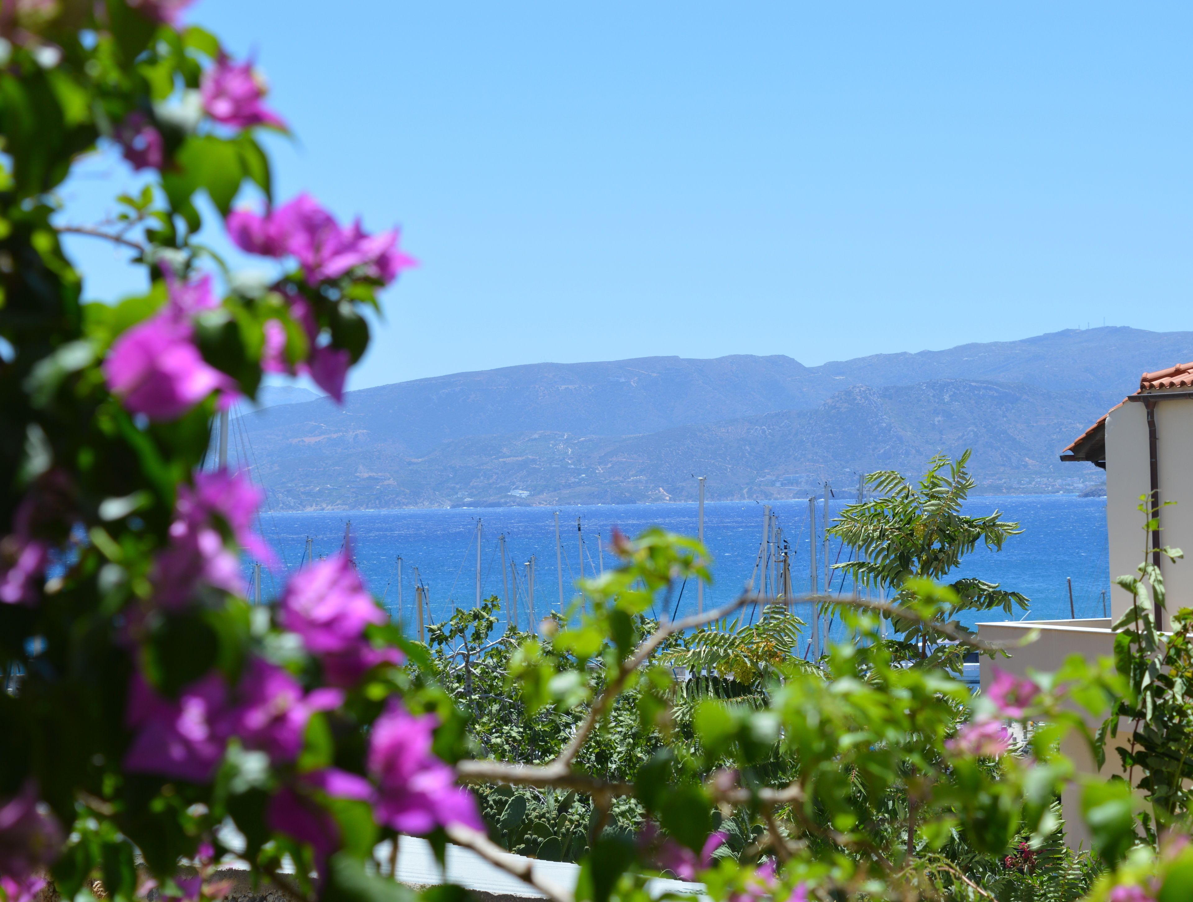 A coastal view with mountains in the background, a clear sky, and a building with a red roof.