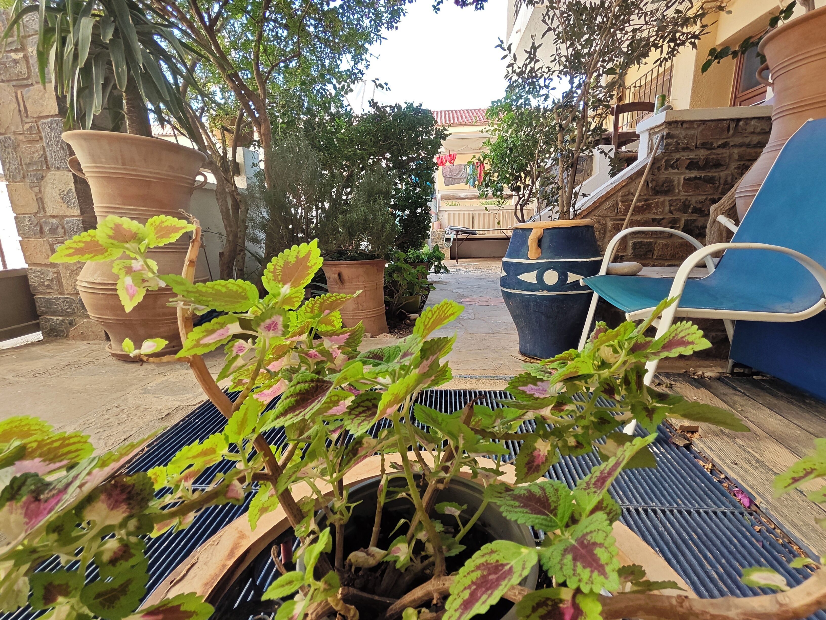 Une cour avec des plantes en pot, une chaise bleue et un mur de pierre.