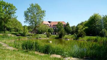 Jardin