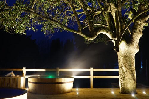 Hotel Pucon Green Park