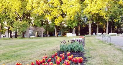 Hotel Garni Goldene Traube