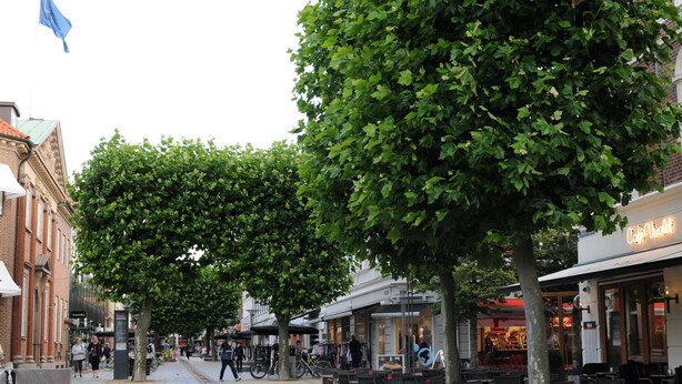 A tree-lined street with outdoor seating and a cafe. - Hotel Postgaarden (Fredericia)