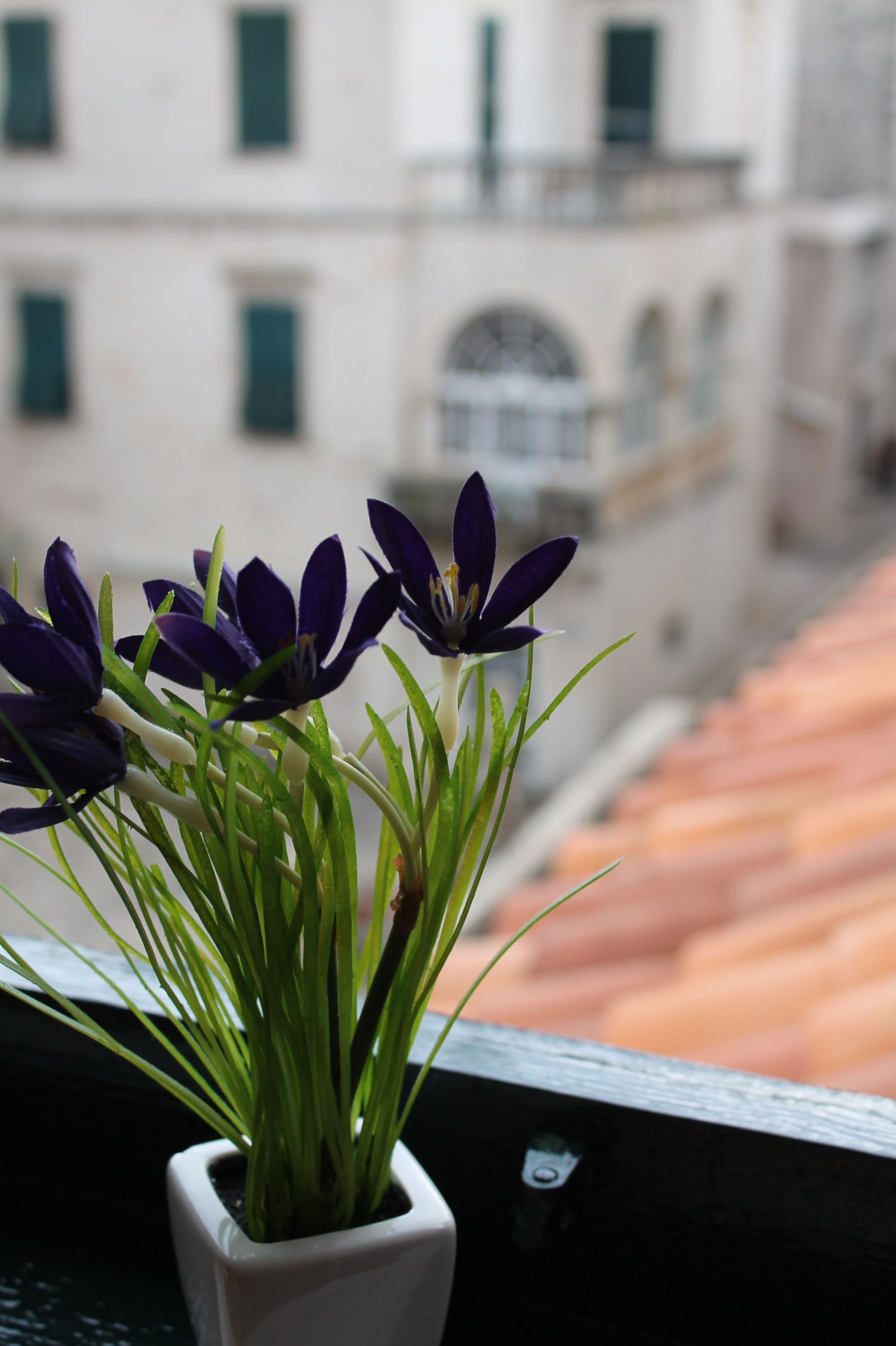 A potted plant with purple flowers on a balcony with a view of a building with arched windows.