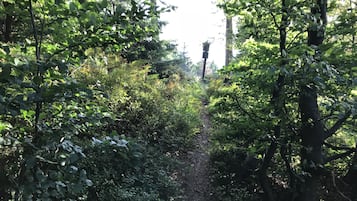 Wandelen