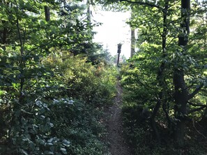Hiking - Hotel na Dolině (Trojanovice)